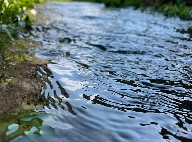 Ruttner Haz Veszprém